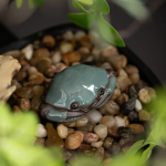 Tea pet-krabba i glaserad keramik