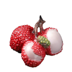 Tea pet med färgskiftande litchi i resin